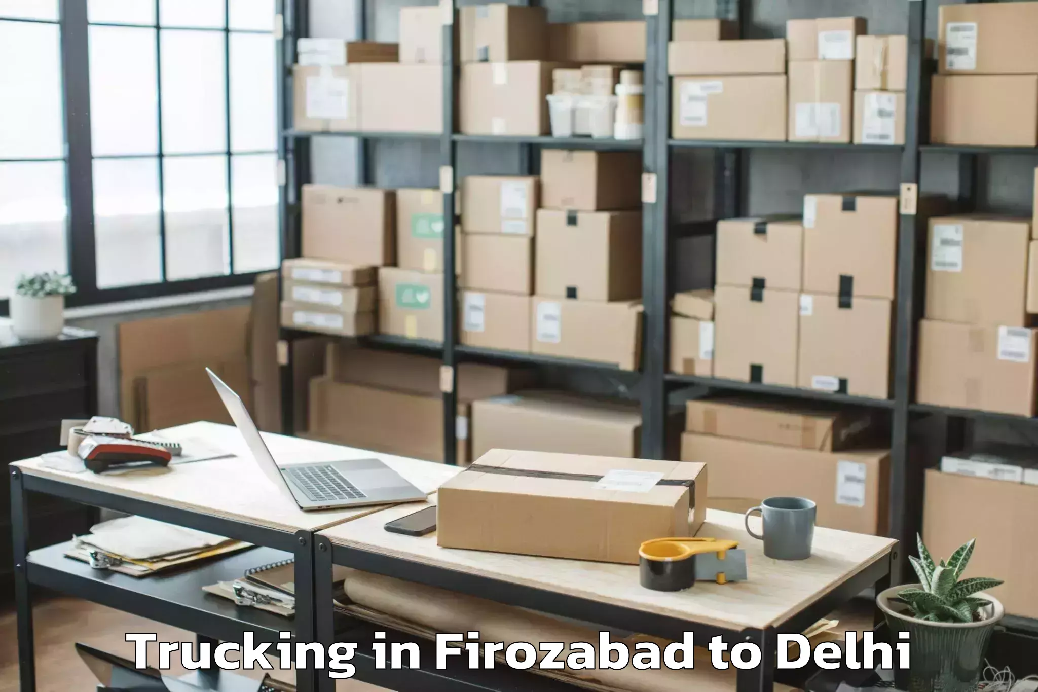 Top Firozabad to Pacific D21 Mall Trucking Available